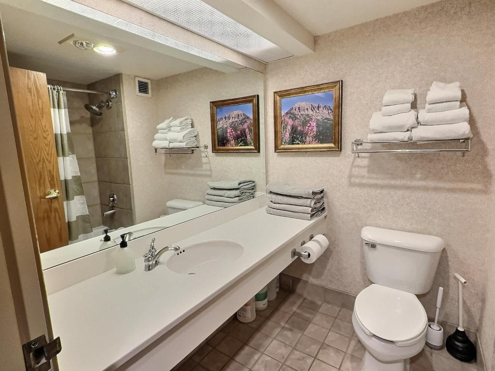 1Bd 274 Perfect Location With Pool And Hot Tub Villa Crested Butte Luaran gambar